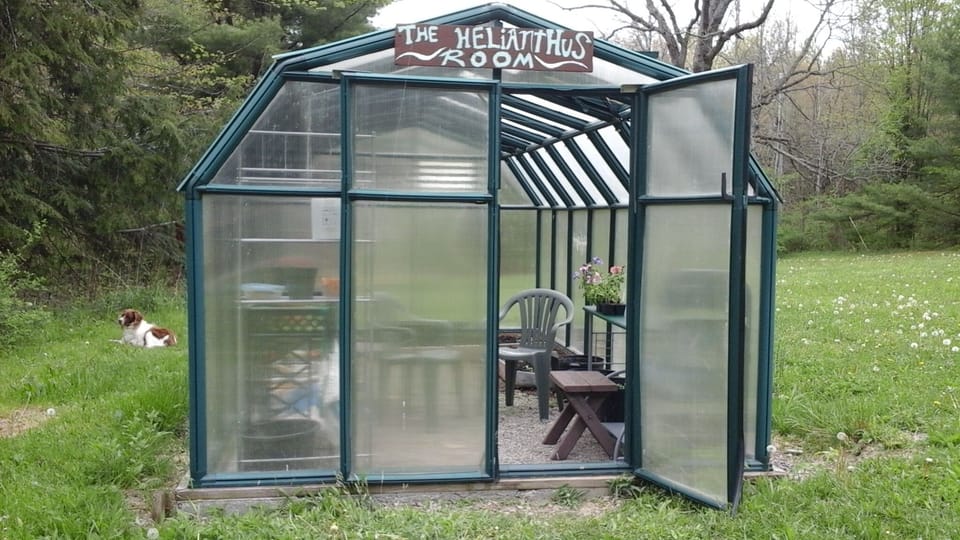 Helianthus Room