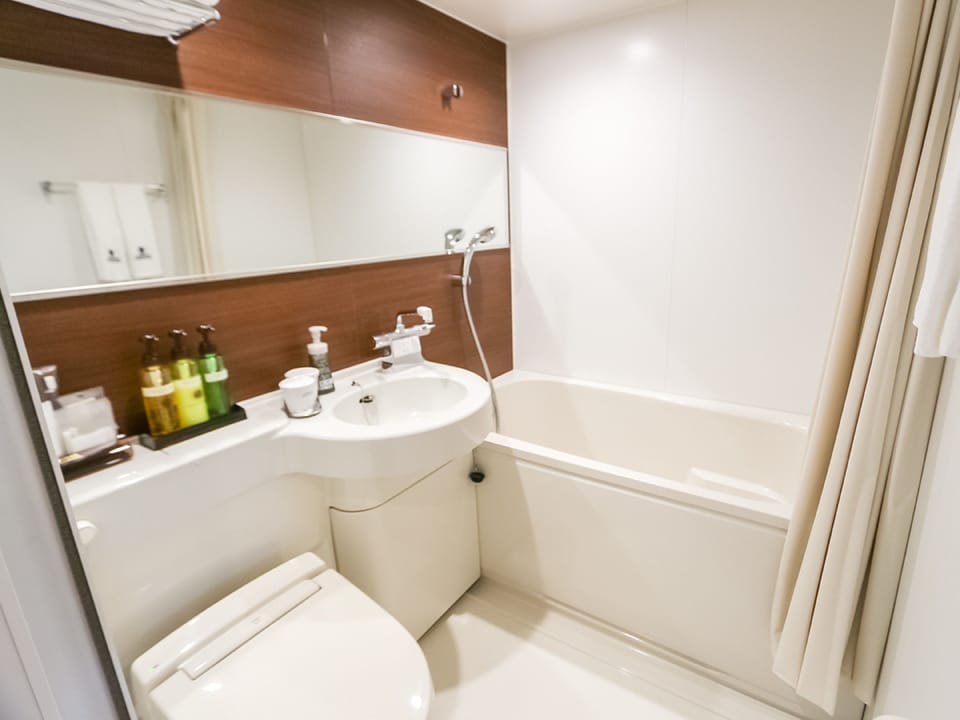 Combined shower/tub, hair dryer, slippers, electronic bidet