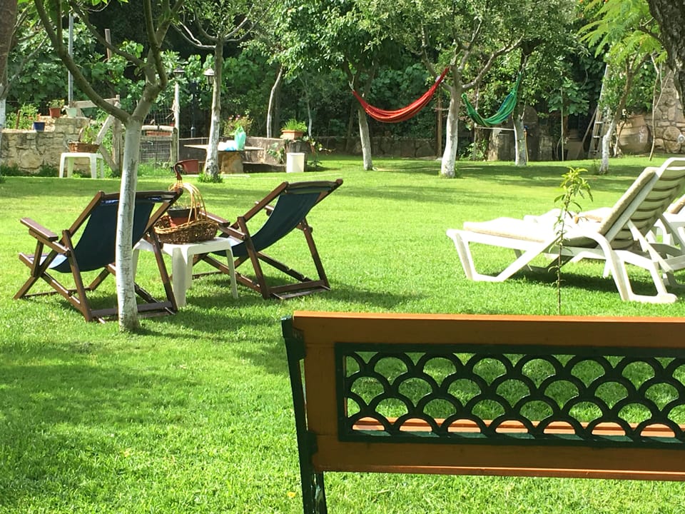 Heavenly made private garden.Relaxing spots with hammocks and sun lounges.