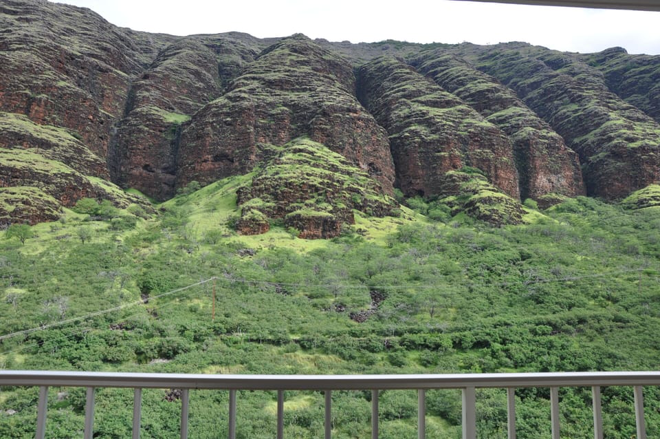 View from Front Door