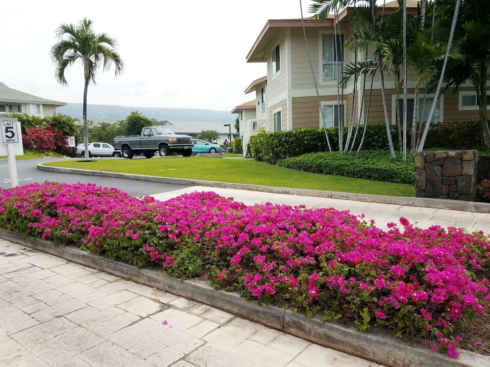 Drive way leads to Alii Lani vacation rental 