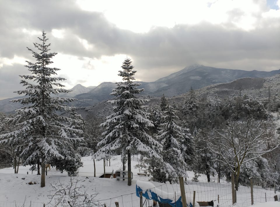 Snow and ski sports