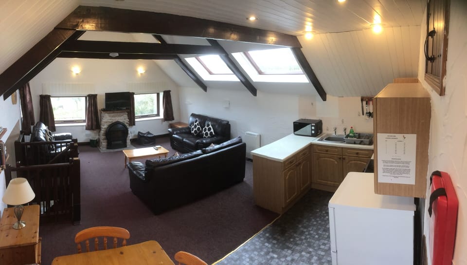 Barn kitchen/dining room
