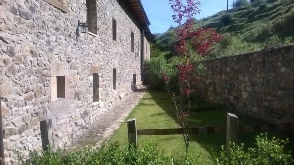 Patio trasero