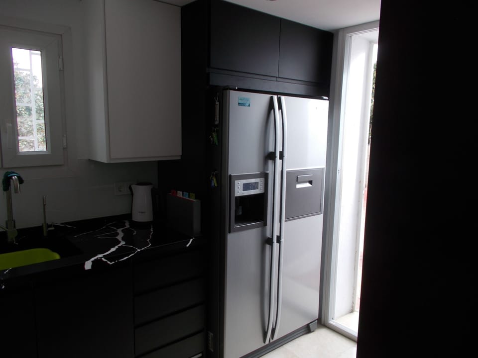 Massive American fridge freezer, with ice maker and filtered drinking water.