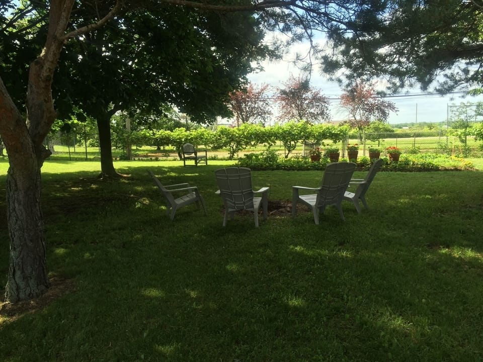 Enjoy time around the firepit