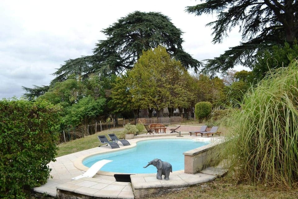 La piscine chauffée et son solarium au milieu d'une végétation luxuriante