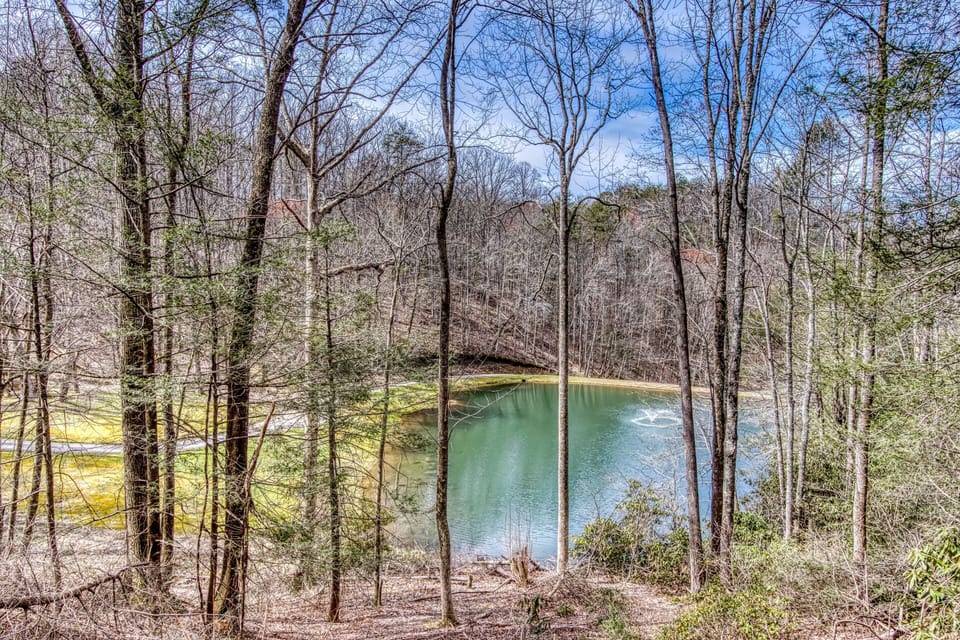 Secluded Cabin in Gatlinburg "Water's Edge" - View of community fully stocked catch and release fishing pond
