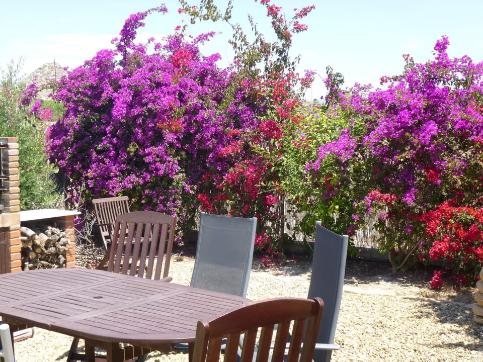  Beautiful Garden At Finca Arboleda.