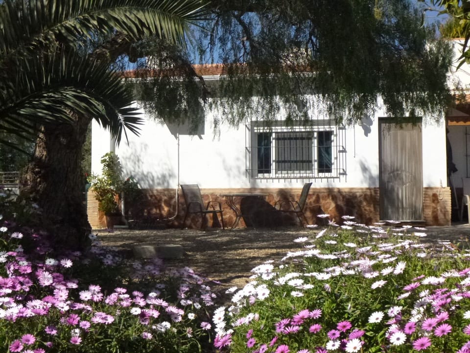 Idyllic one bedroom bungalow, with loads of beautiful outdoor space.