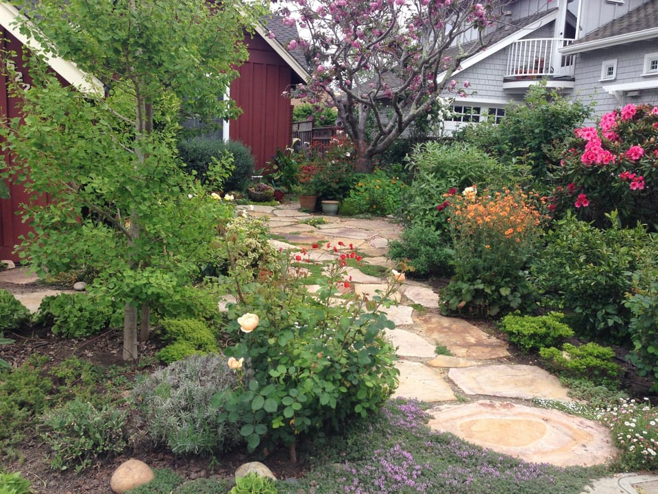 Gingko tree and tropical front yard. Can you find 23 different fruits?