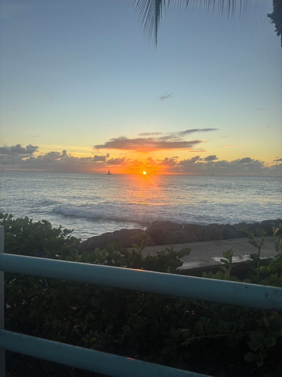 View from property