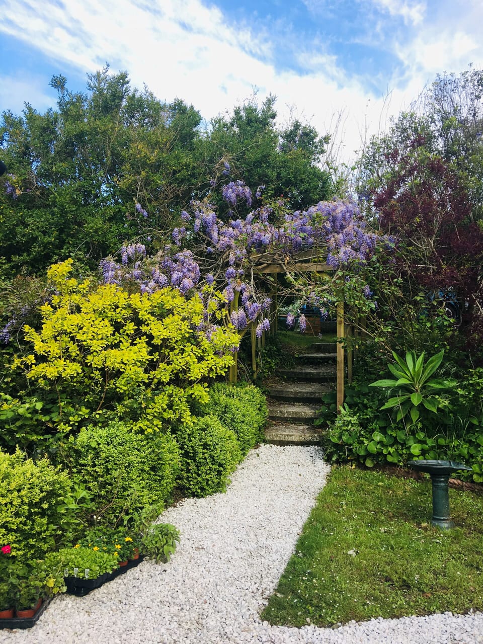 Glorious Garden 