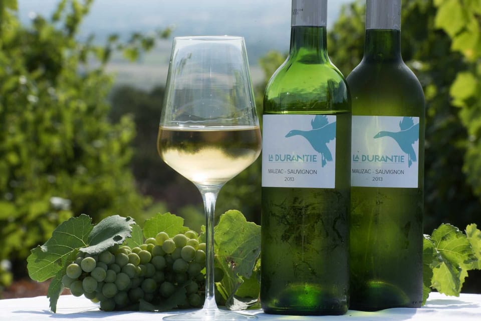 Domaine de la Durantie wine