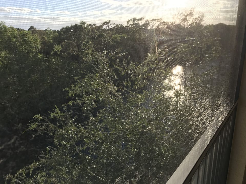 Canal
