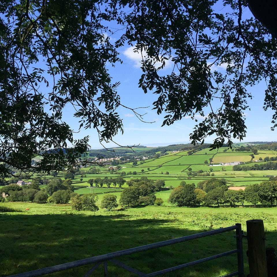 Gorgeous views on walks from the door.