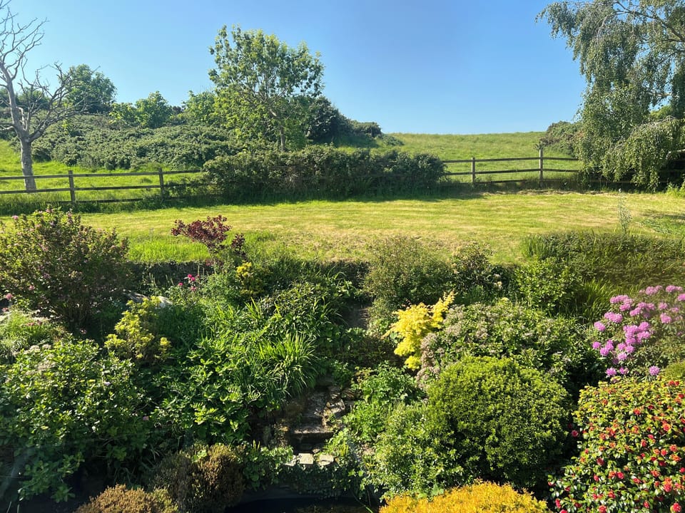 View from bedroom window. 