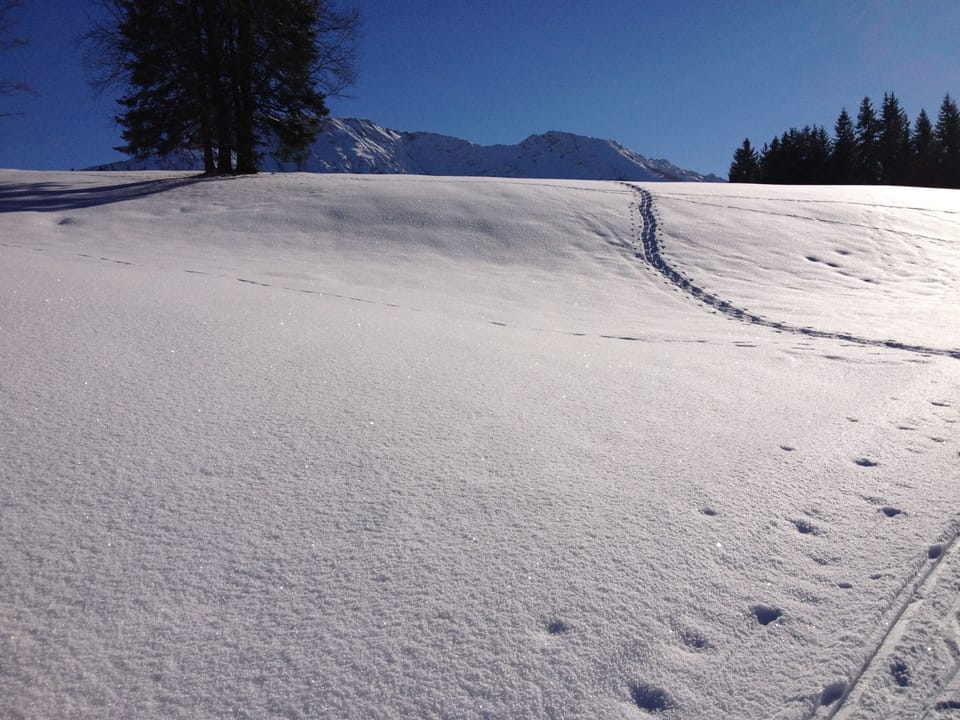 Snow and ski sports