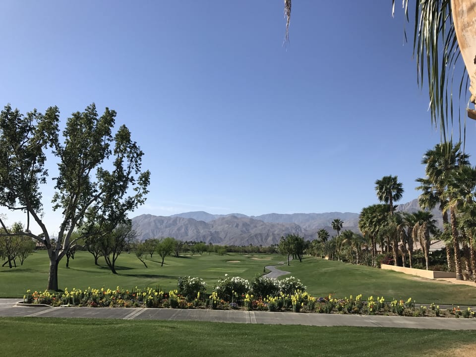 view from pool 