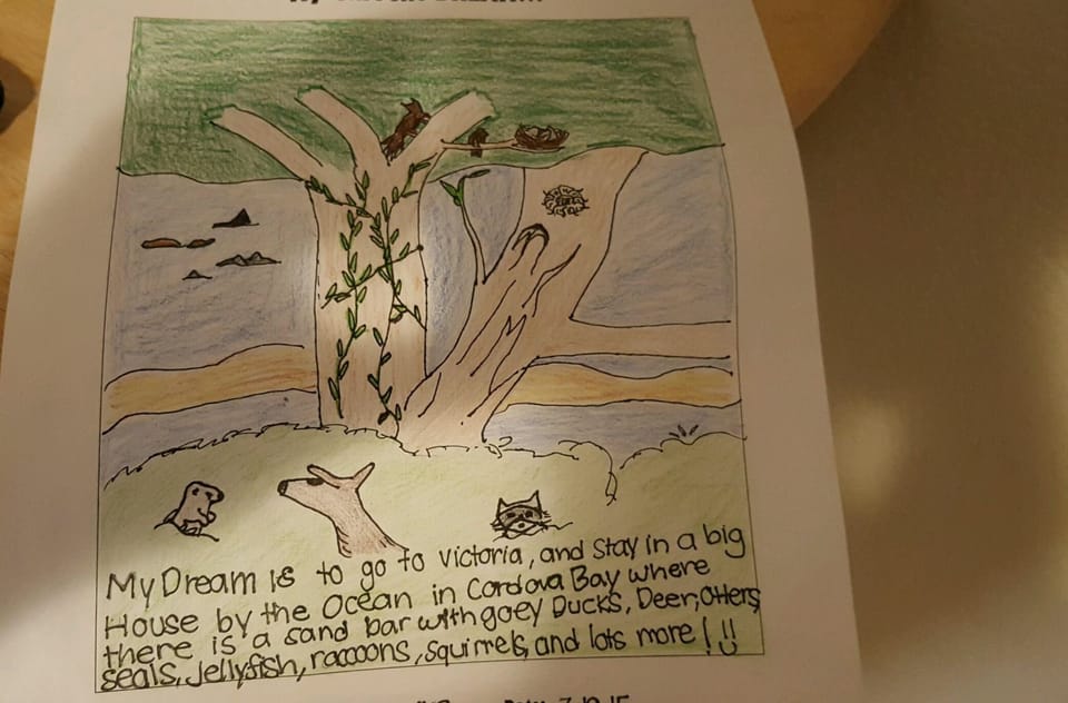 Lovely art of our arbutus tree and wildlife drawn by a happy young guest.