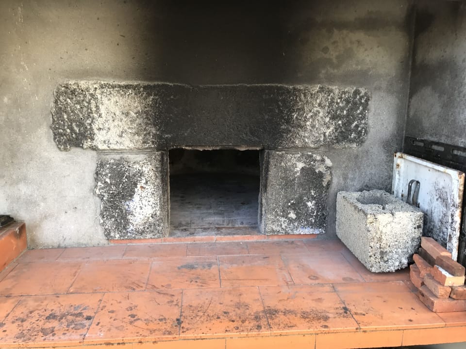 Wood burning oven