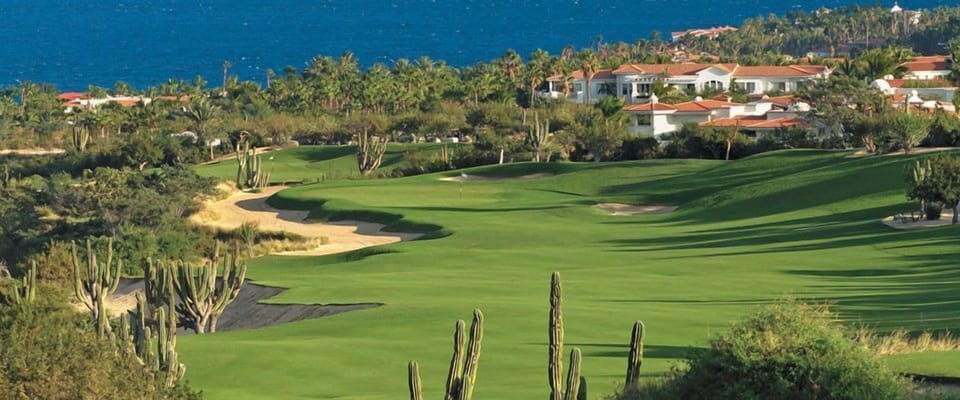 One of many golf courses throughout Cabo!