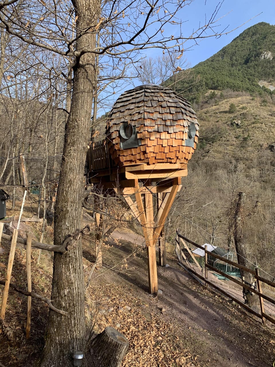 Cabin, Mountain View (Perché dans les Arbres )