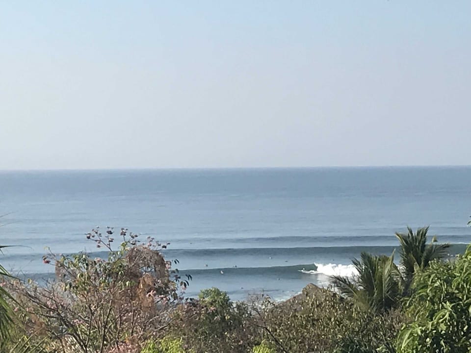Surf check