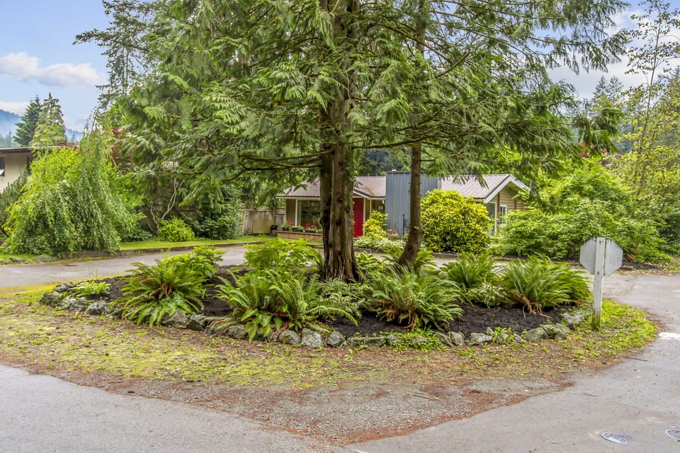 Cabin and Driveway 