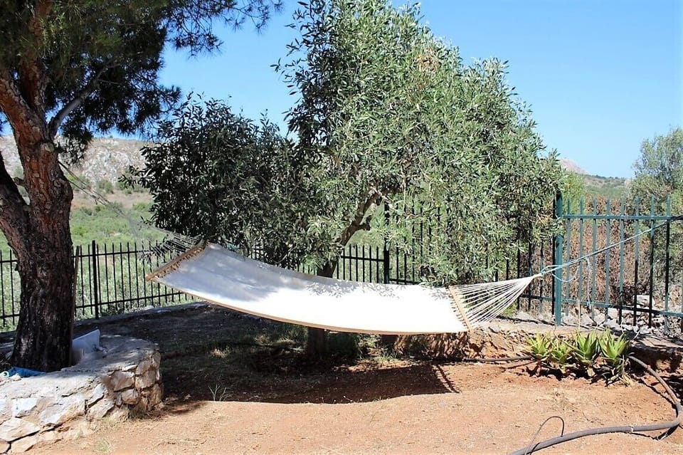 Hammock in the garden