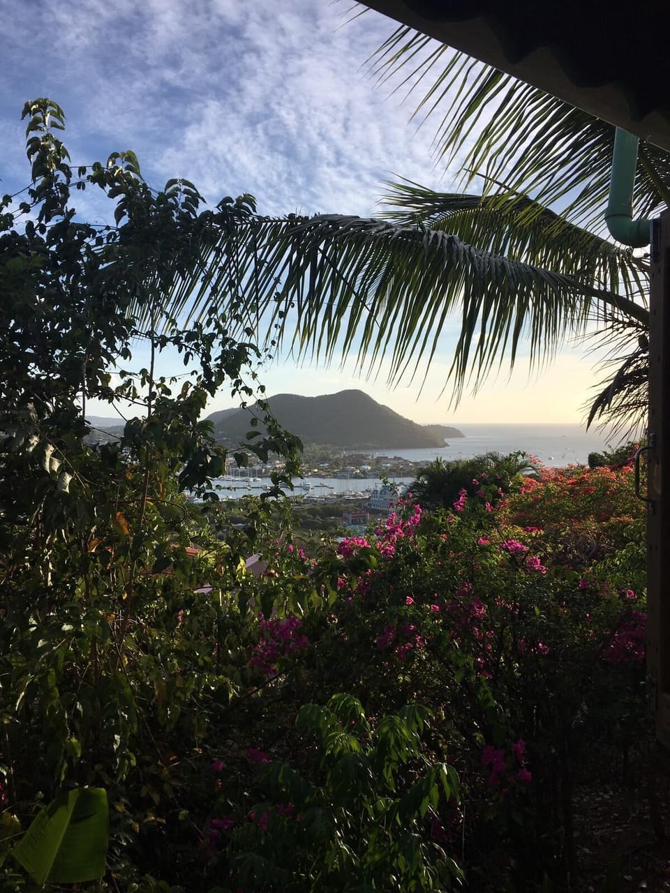 View from property