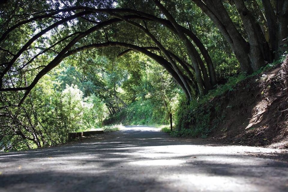 Enjoy outdoors? Lake Chabot is walking distance and a perfect place  for a jog.