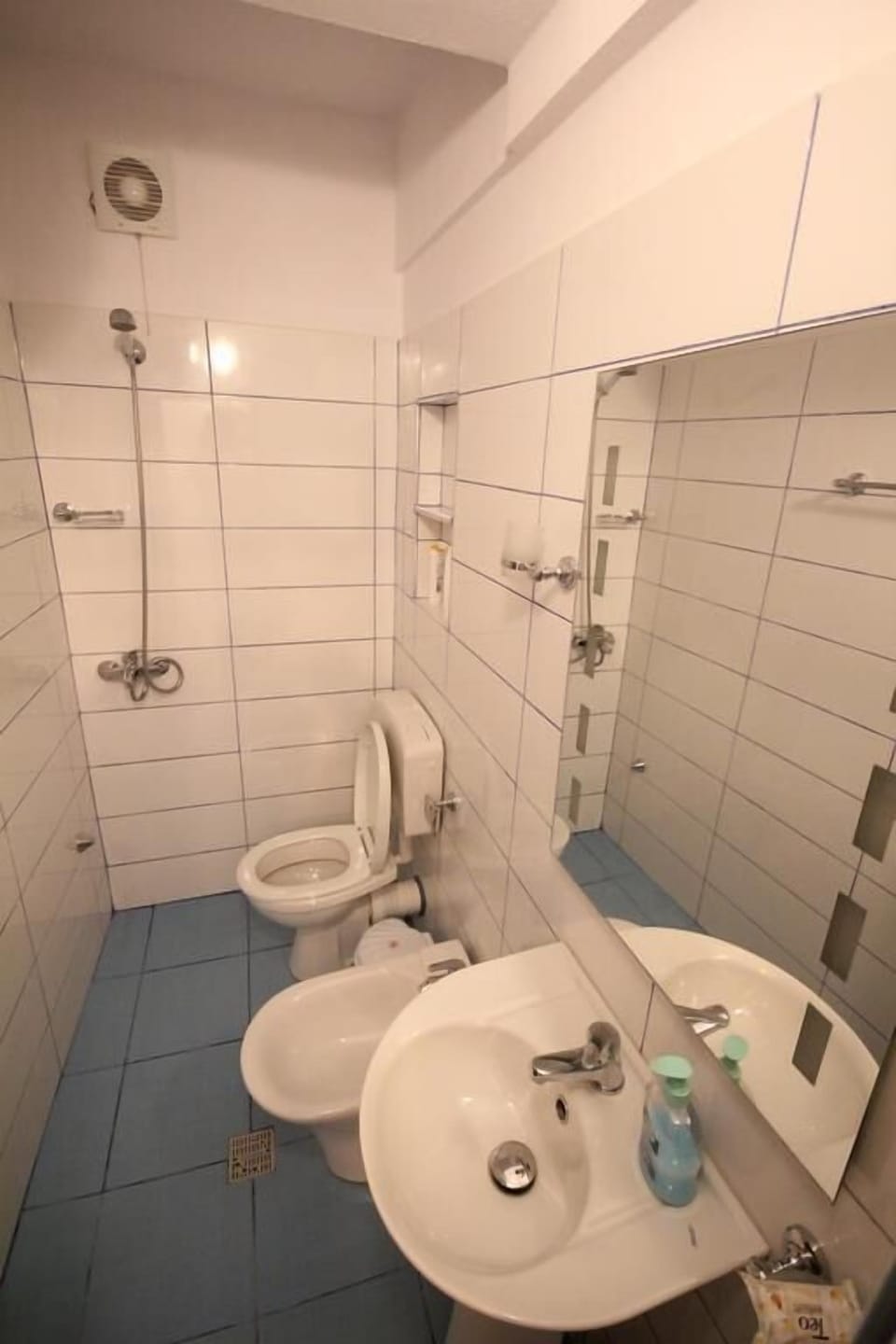 Apartment, 2 Bedrooms | Bathroom | Shower, hair dryer, slippers, bidet