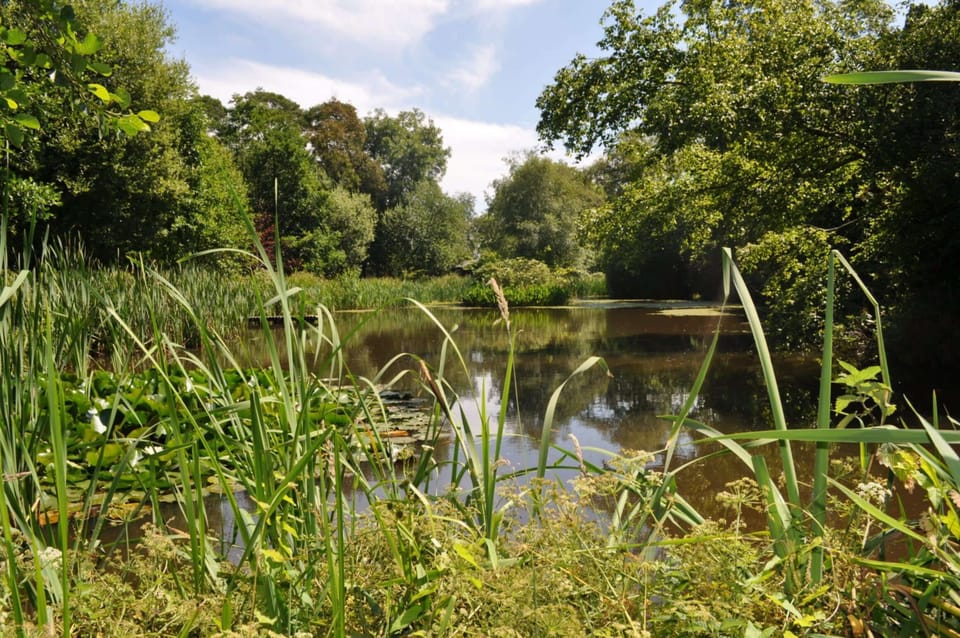 Lake at High Park
