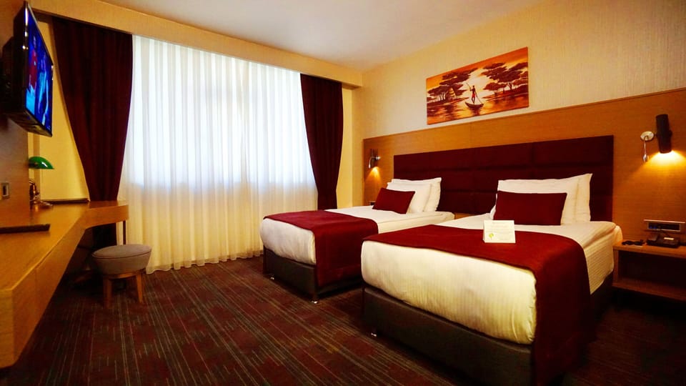 Standard Double or Twin Room, 1 Bedroom, City View | Minibar, in-room safe, desk, blackout drapes