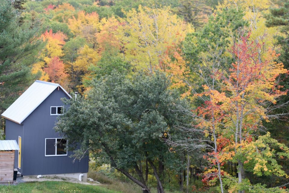 Fall at the Farm