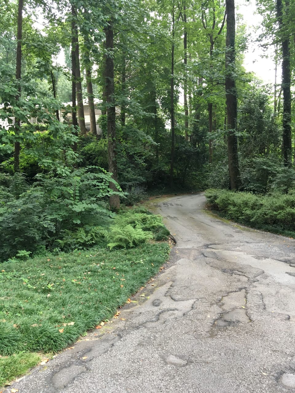 Front driveway to house. 