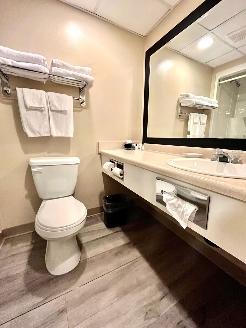 Business Room, 1 King Bed | Bathroom | Combined shower/tub, hair dryer, towels