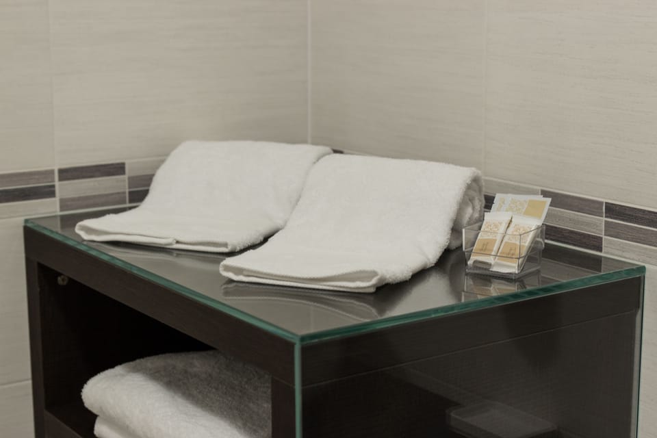 Shower, hair dryer, bidet, towels