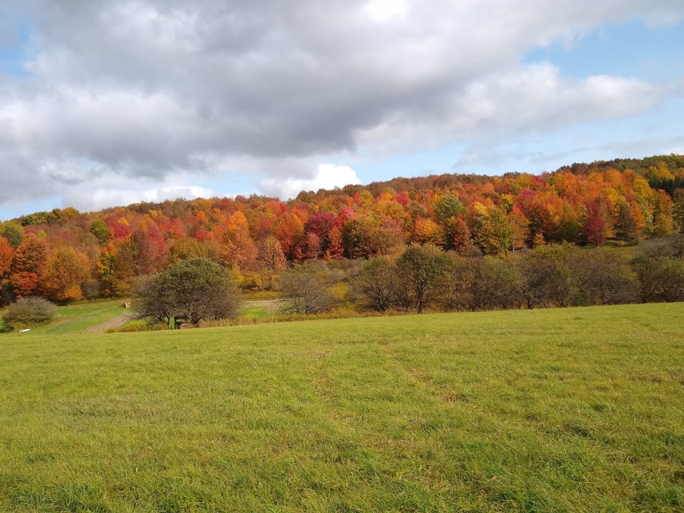 walking trail top