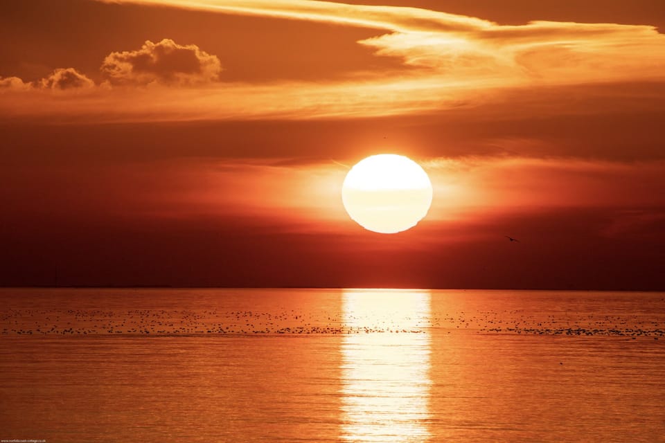 Dog Friendly B&B just a 2 minute walk from the beach with own entrance 