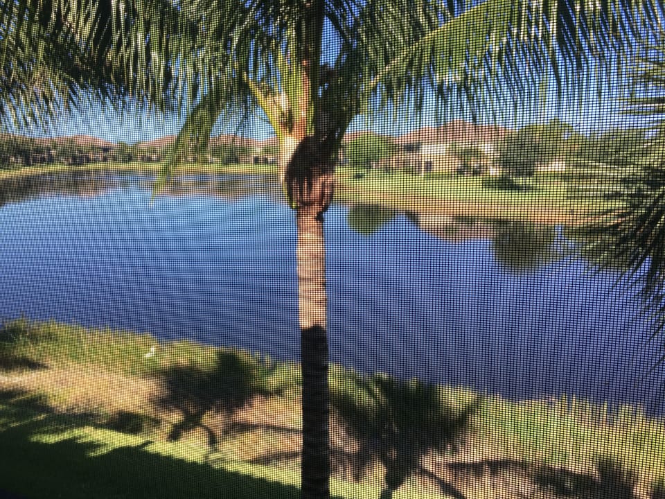 View from the lanai.