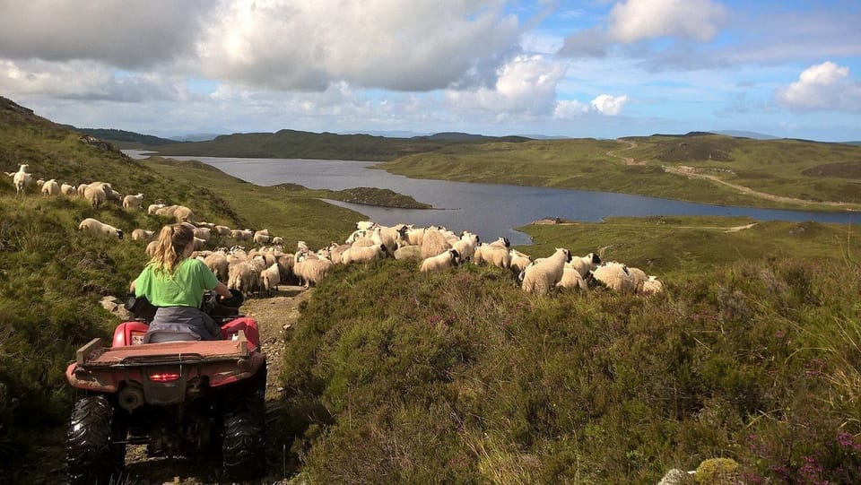 We are a working hill farm estate.