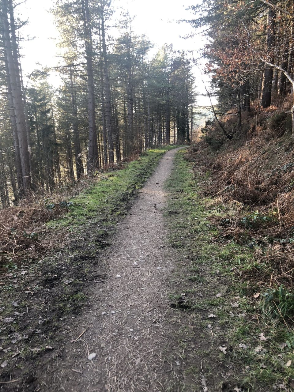 Amazing walking in the clwydian range