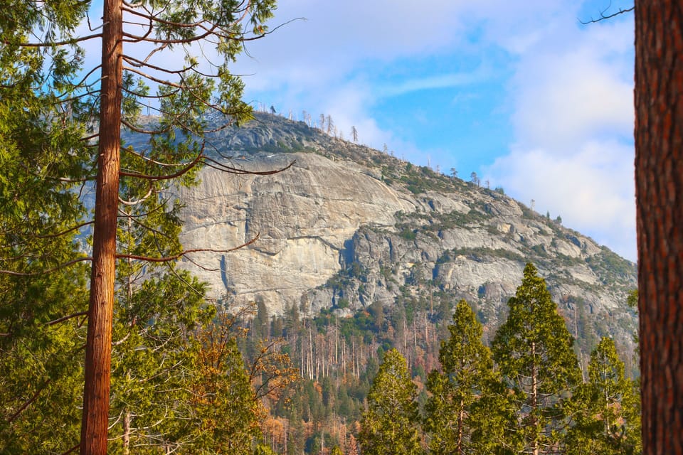 Beautiful view of Wawona Dome