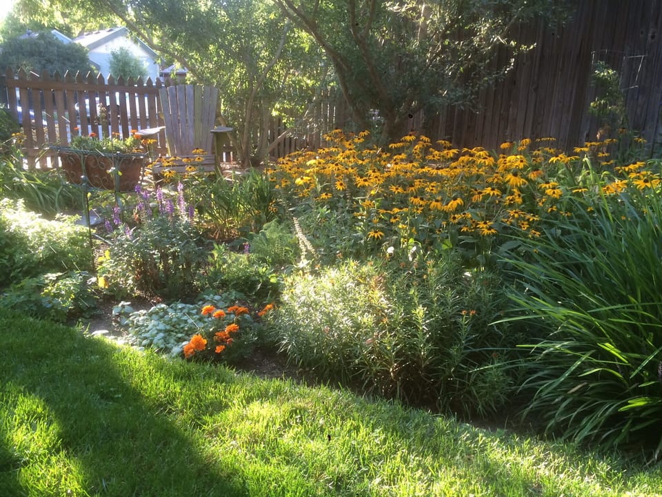 The Garden