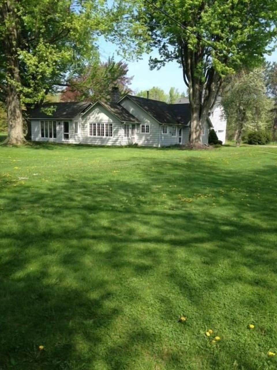 Front yard and house.