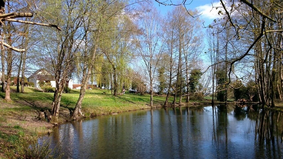 Spring Beside the Lake