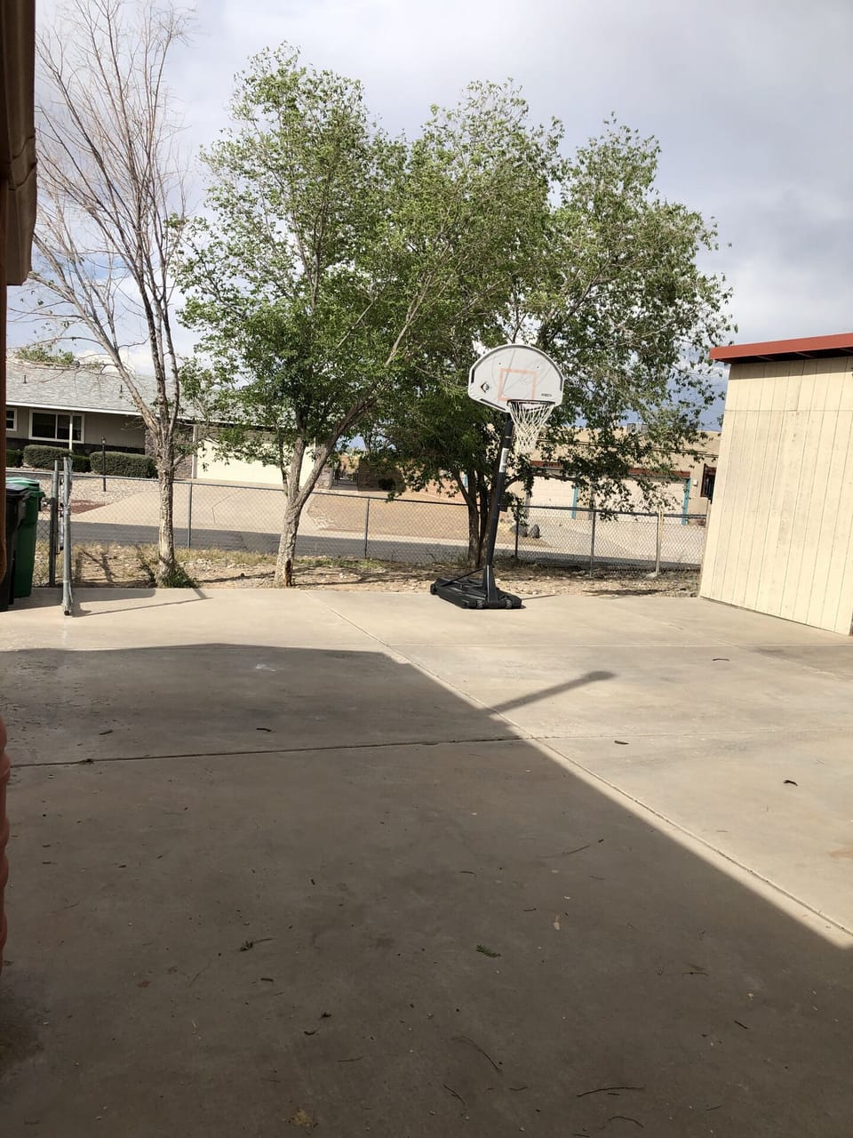 Fenced dog area