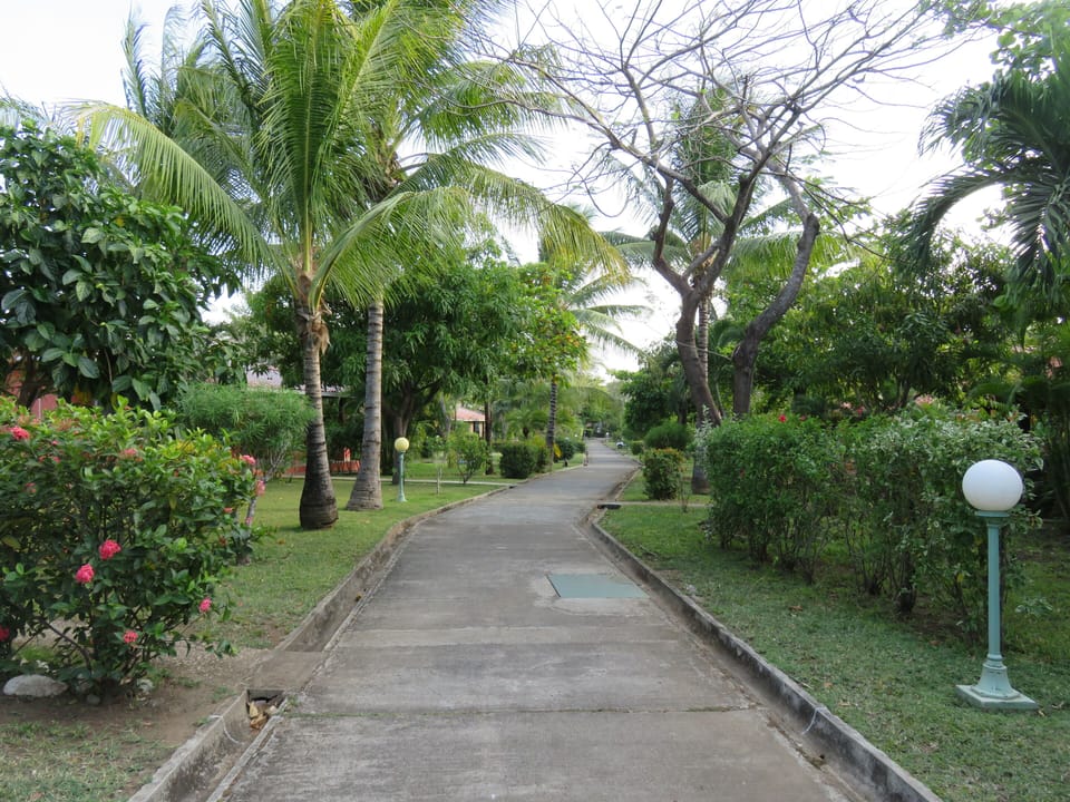 Lush neighborhood grounds